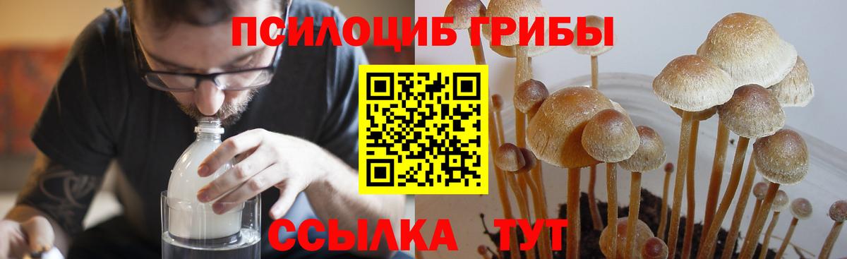 Псилоцибиновые грибы Psilocybine cubensis  Вход с VPN  Галлюциногенные грибы Cubensis  Наро-Фоминск 